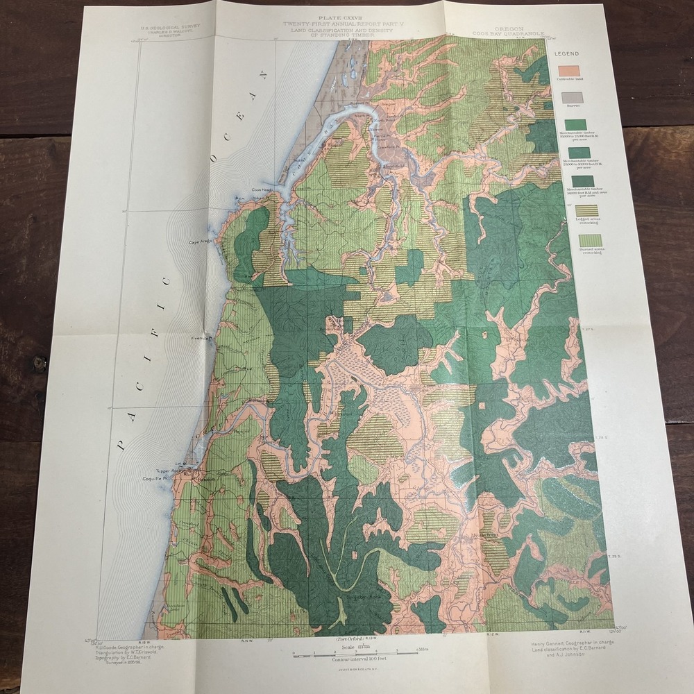 Vintage 1890s Oregon Coos Bay Quadrangle Timber Map Land Survey USGS Lithograph